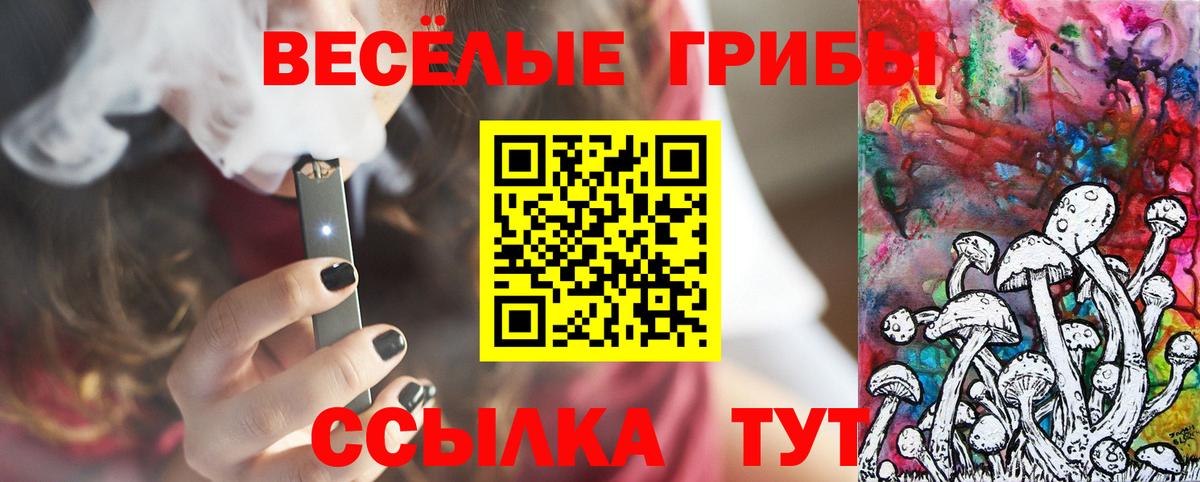 Зерноград  Псилоцибиновые грибы ЛСД  Псилоцибиновые грибы ЛСД  Вход с VPN 